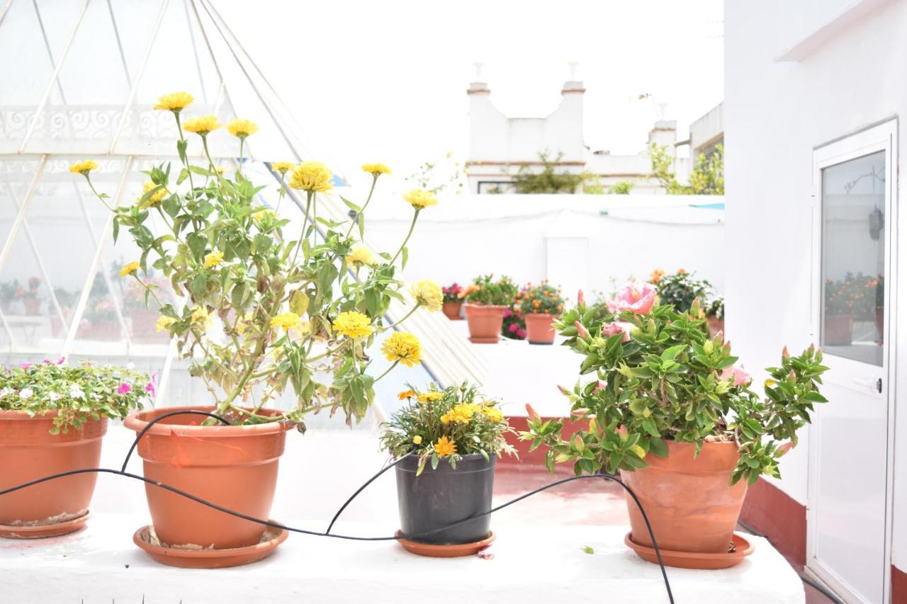 Apartamentos Veedor Cadiz Exterior photo
