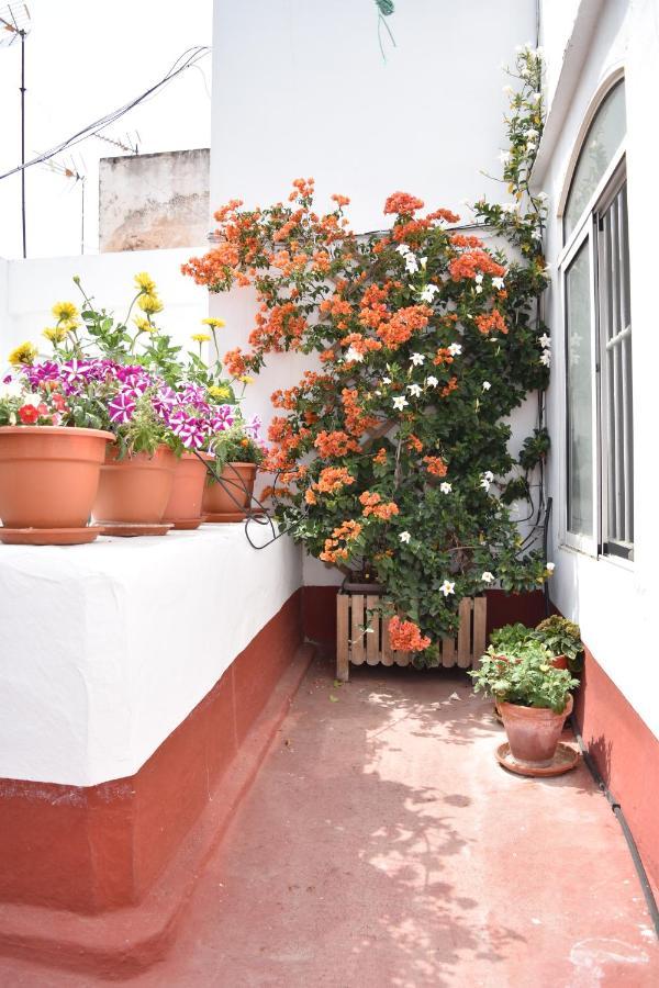 Apartamentos Veedor Cadiz Exterior photo